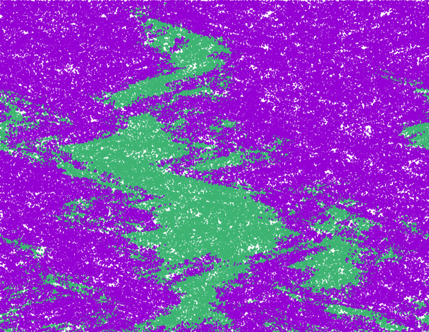 Two species competiting in a turbulent fluid